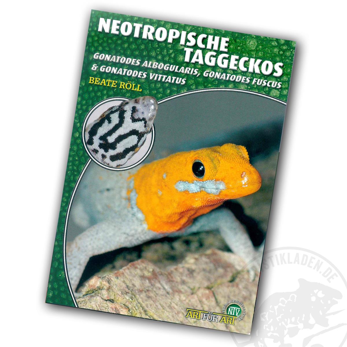 Art für Art - Neotropische Taggeckos Gonatodes