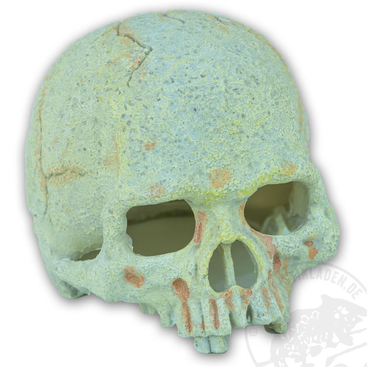 Exo Terra Primate Skull - klein