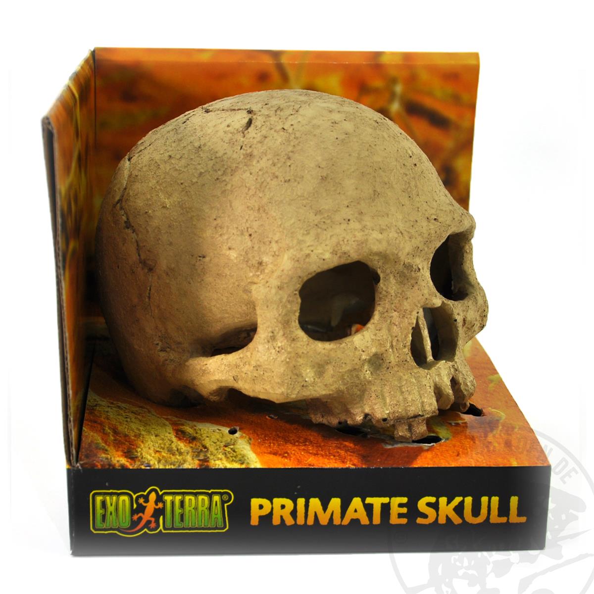 Exo Terra Primate Skull