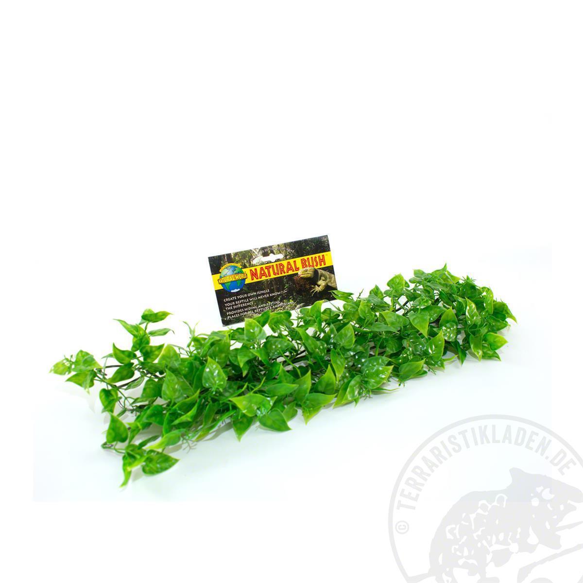 Zoo Med Natural Bush Mexican Philo 30 cm