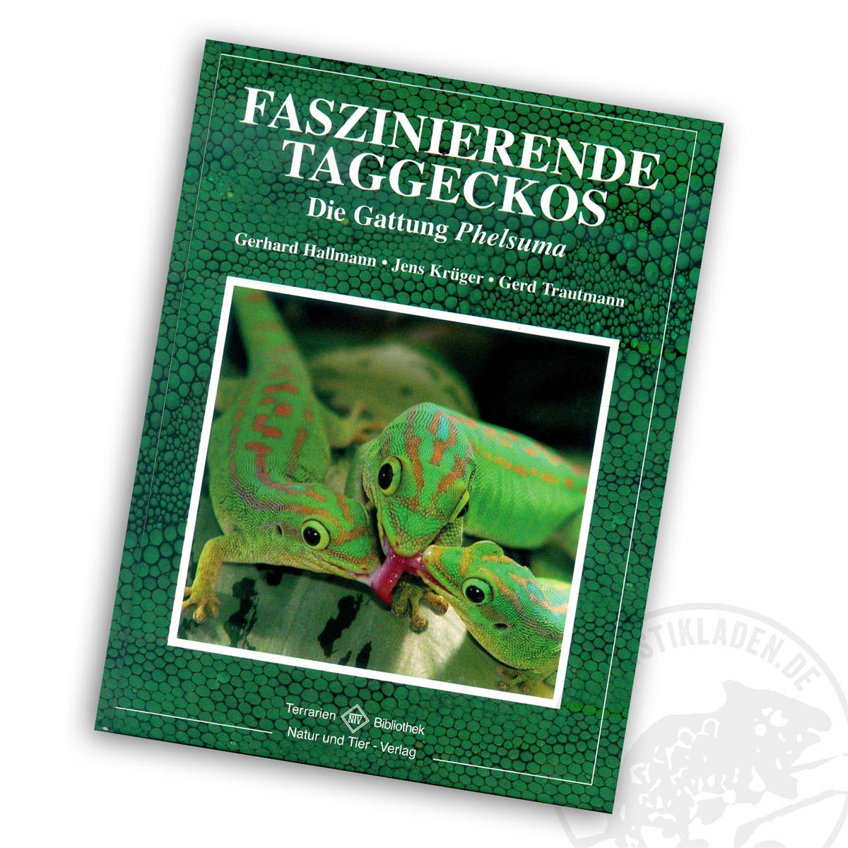 Faszinierende Taggeckos