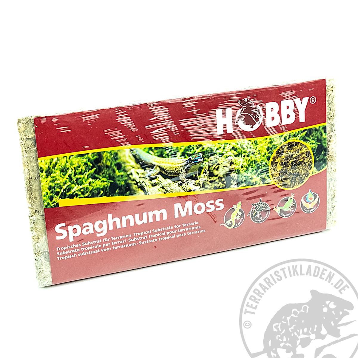 Sphagnum Moos Hobby