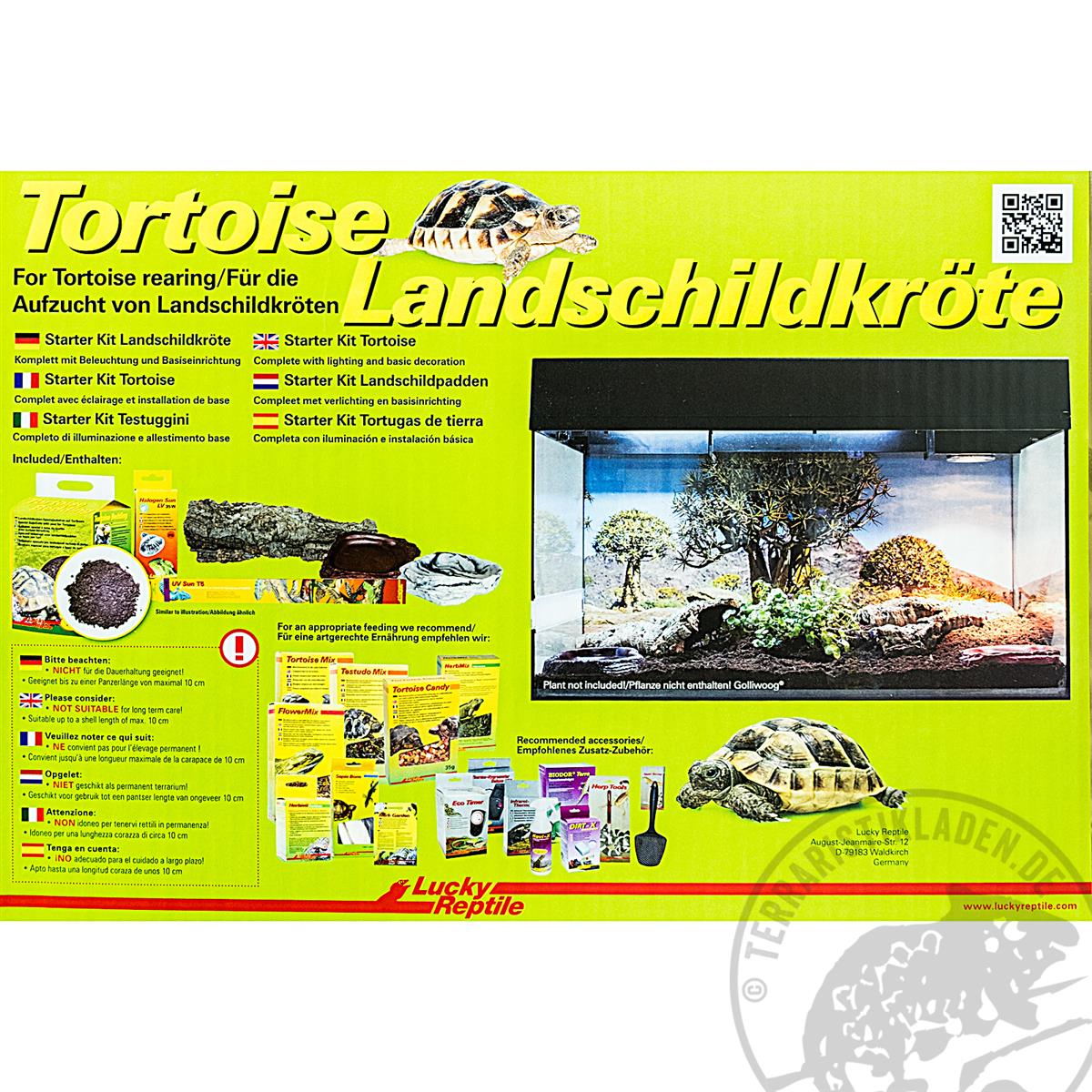 Landschildkröten Terrarium Starter Kit