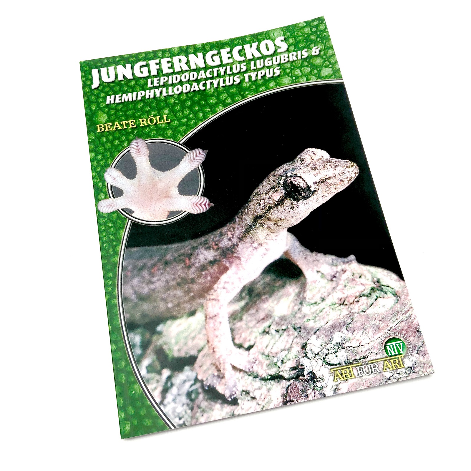 Jungferngeckos