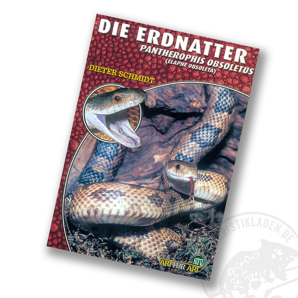 Art für Art  Die Erdnatter Pantherophis obsoletus