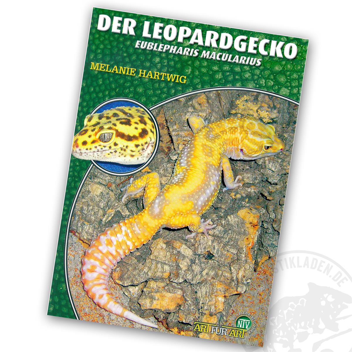 Art für Art Der Leopardgecko