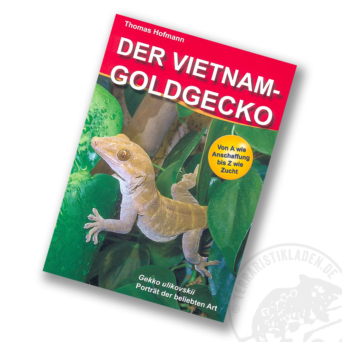 Der Vietnam-Goldgecko