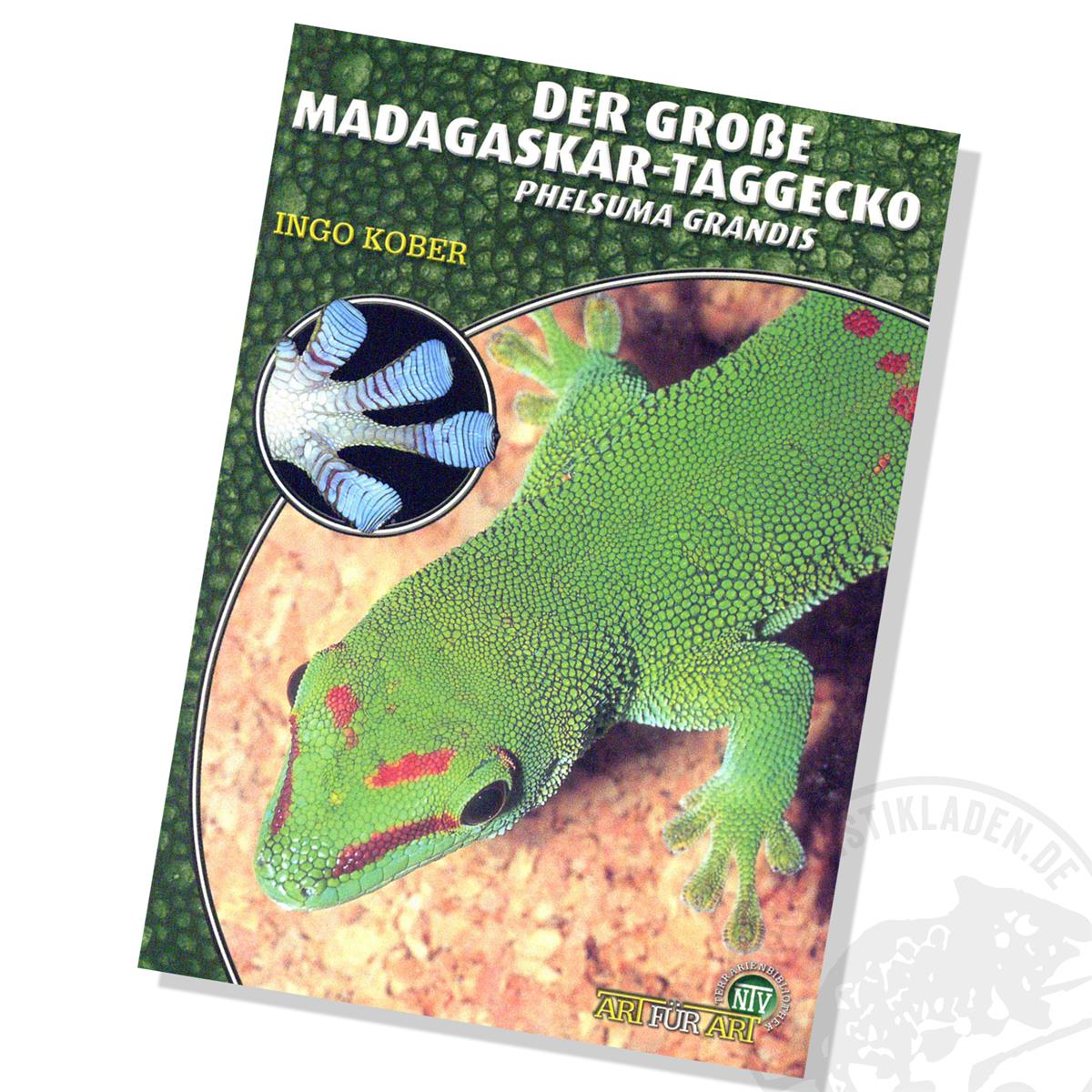 Art für Art Der große Madagsakar Taggecko