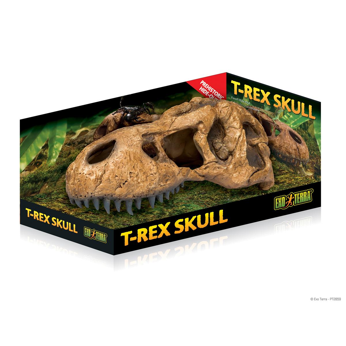 Exo Terra T-Rex Skull