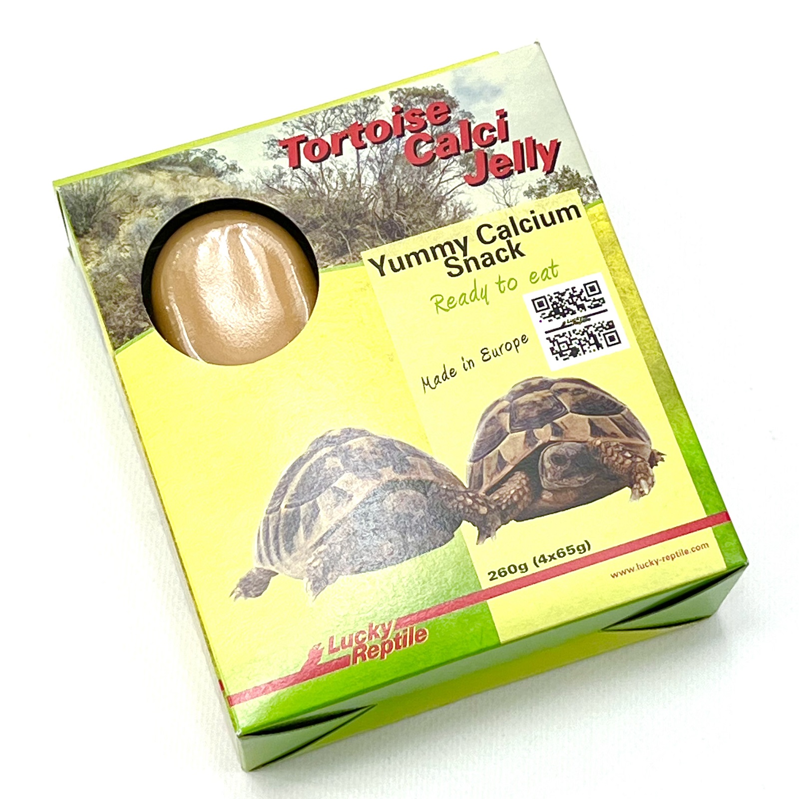 Tortoise Calci Jelly