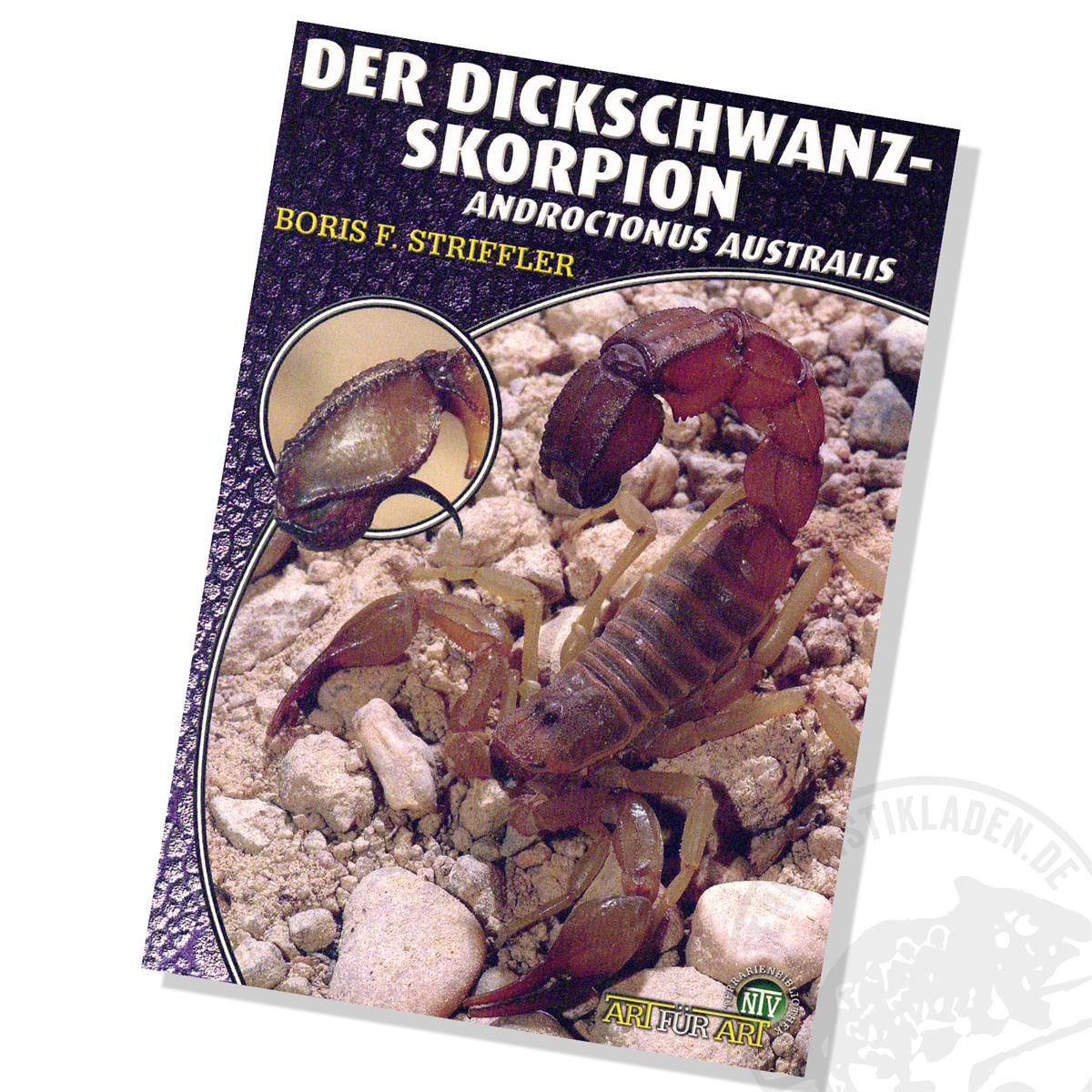 Art für Art Der Dickschwanzskorpion