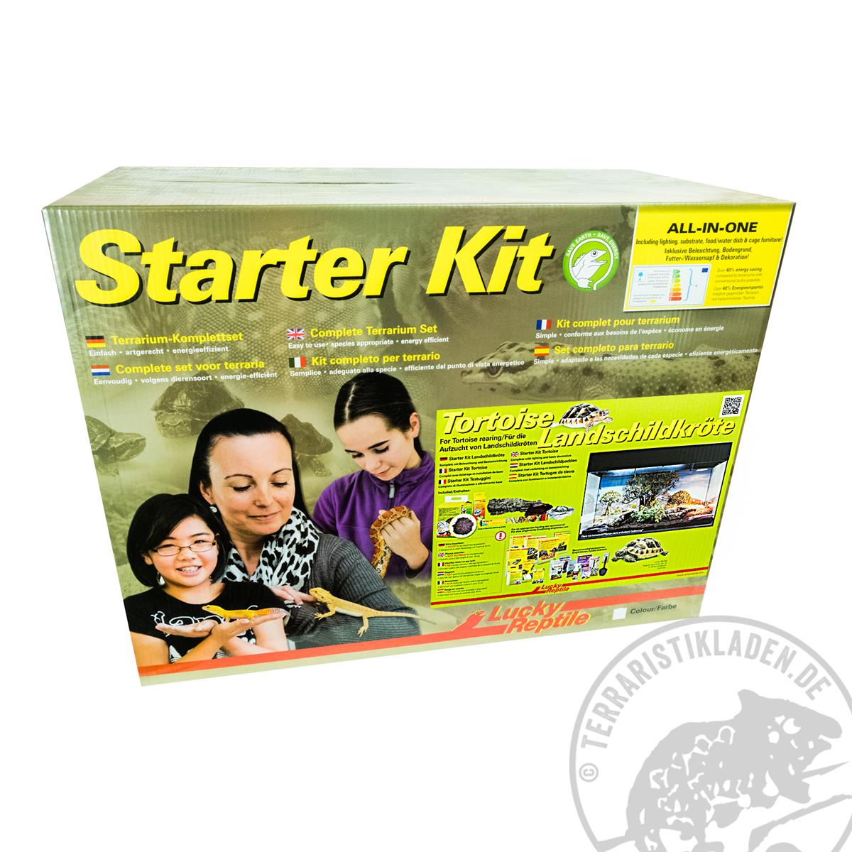 Landschildkröten Terrarium Starter Kit