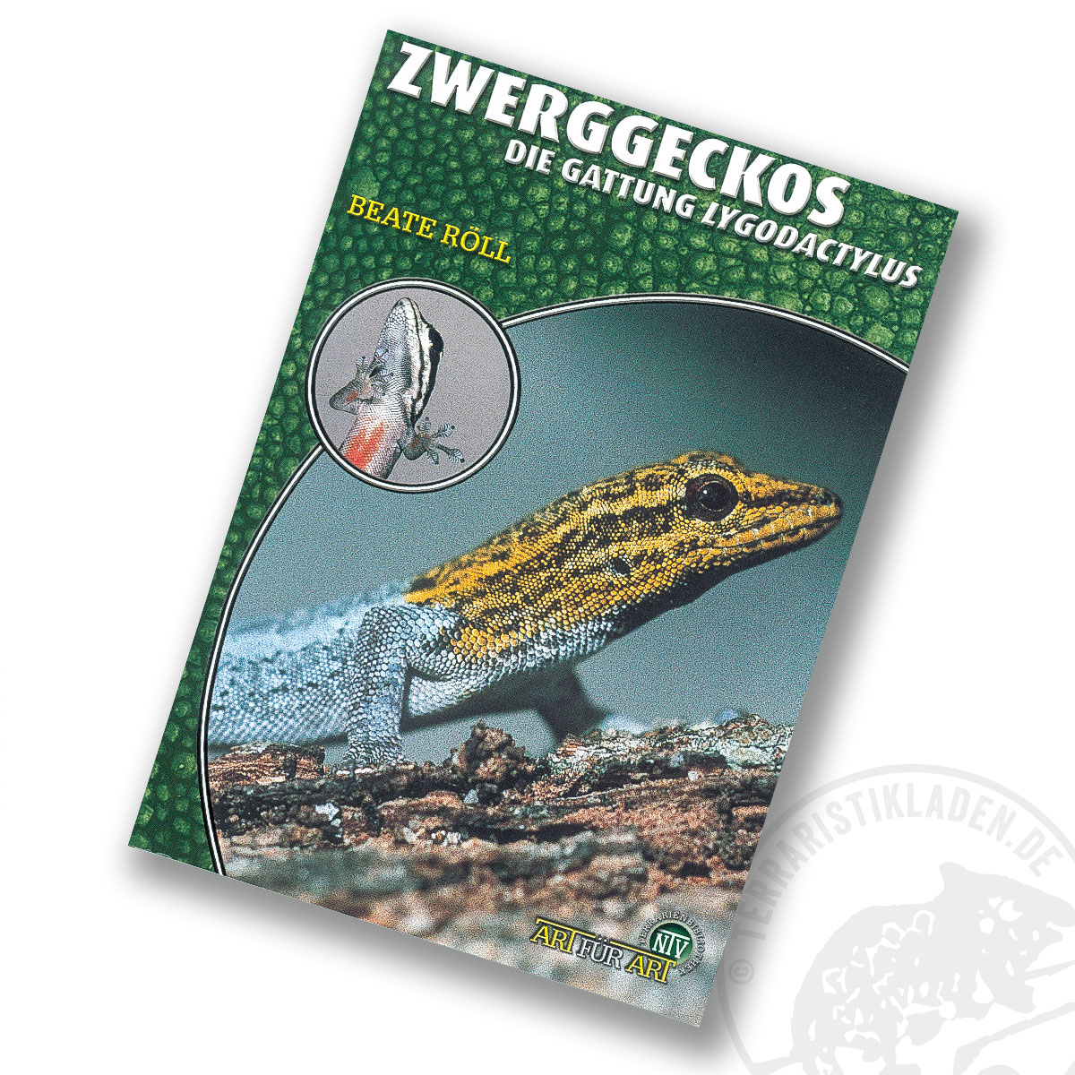 Art für Art Zwerggeckos (Lygodactylus)