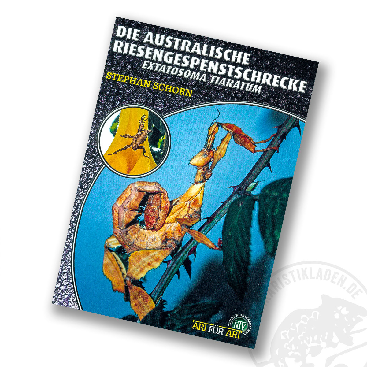 Art für Art Die Australische Riesengespenstschrecke