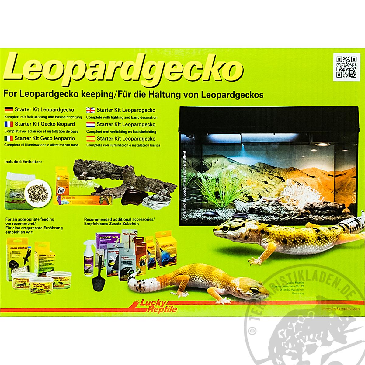 Leopardgecko Terrarium Starter Kit