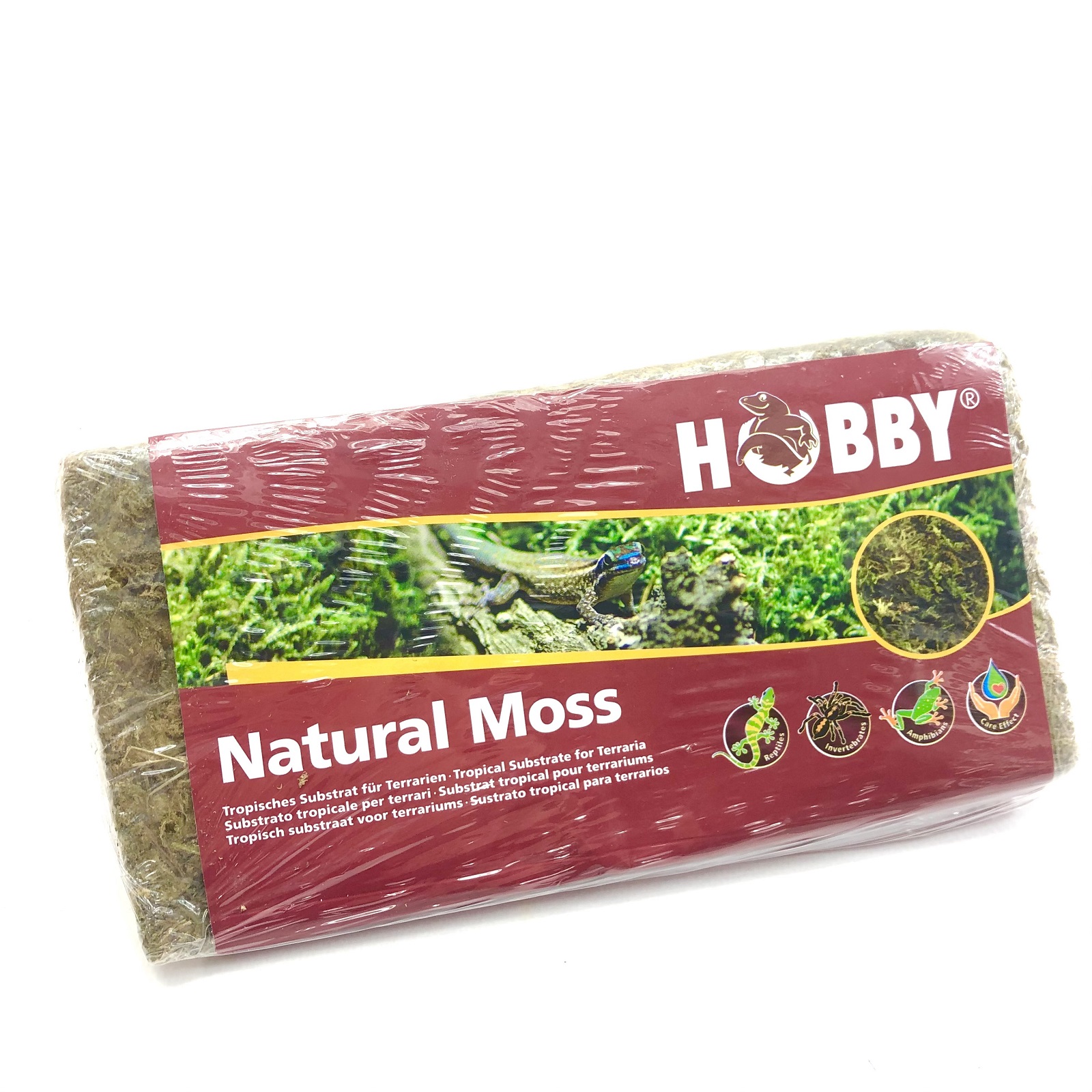 Natural Moss