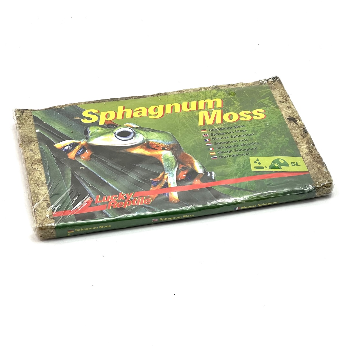 Sphagnum Moos