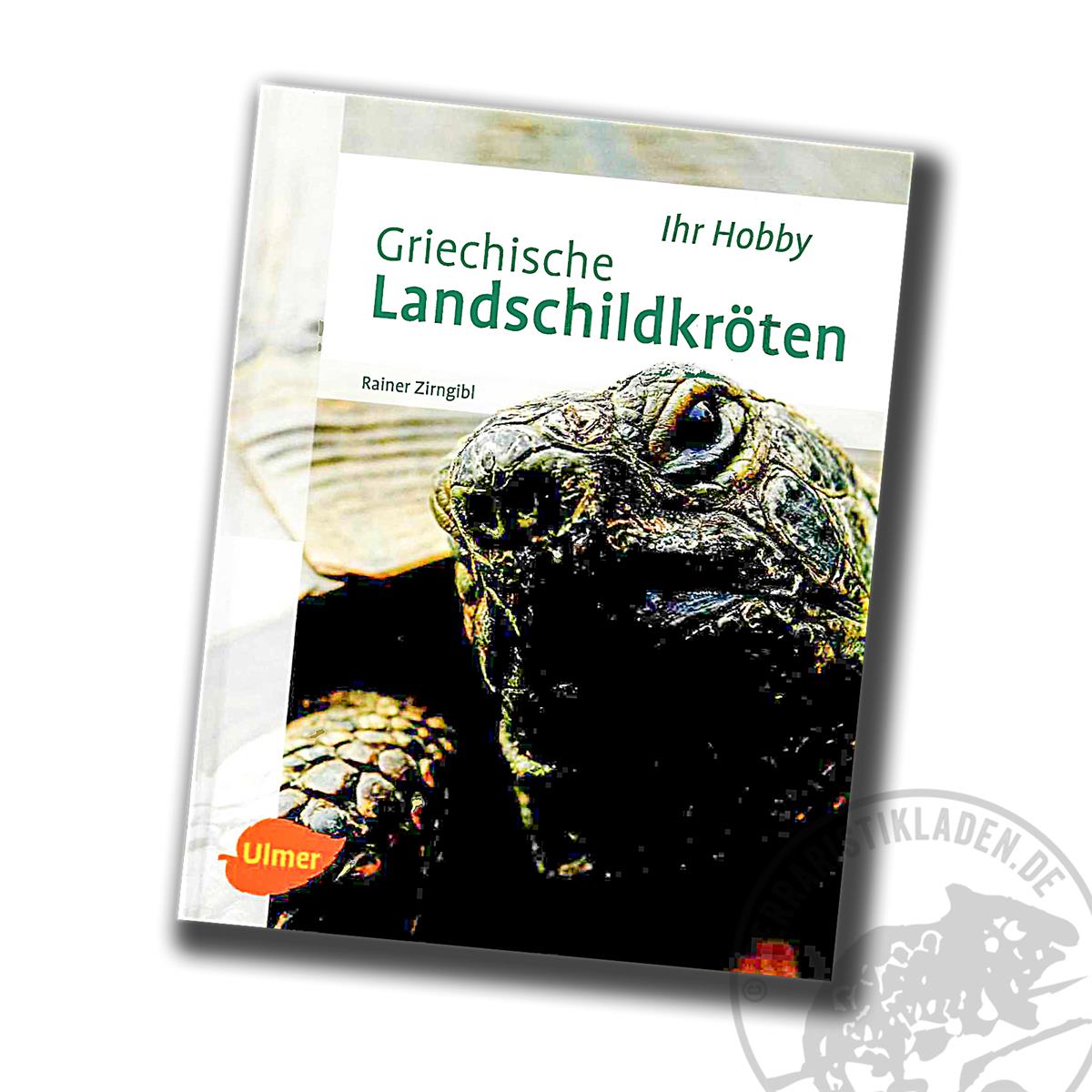 Griechische Landschildkröten