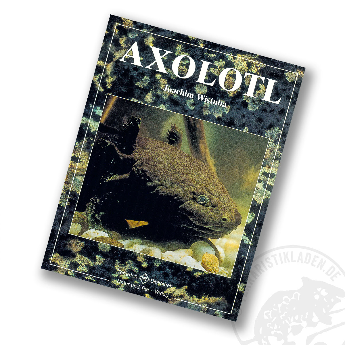 Axolotl