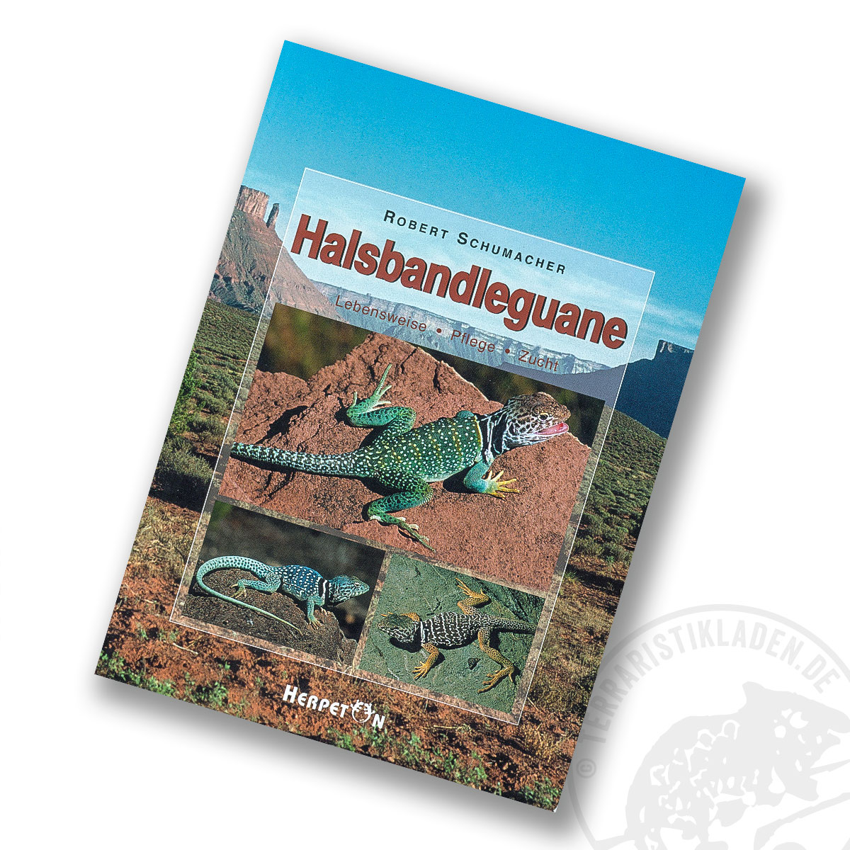 Halsbandleguane