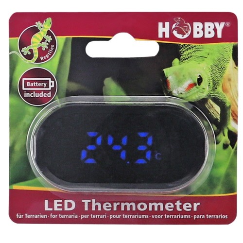 LED Thermometer