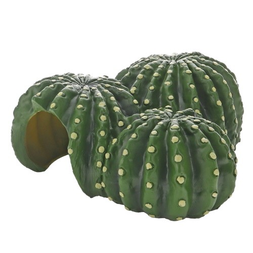 Cactus Home